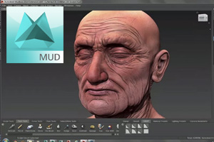 Mudbox